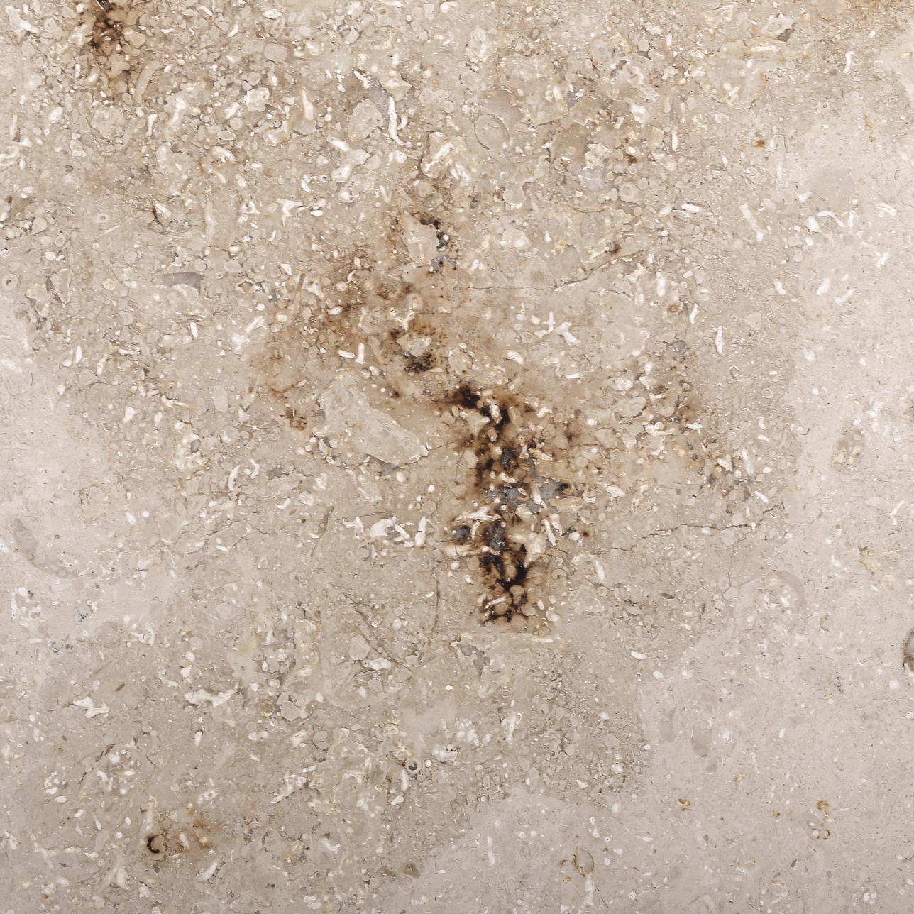 Jura Silver Edition Linear FR Smart