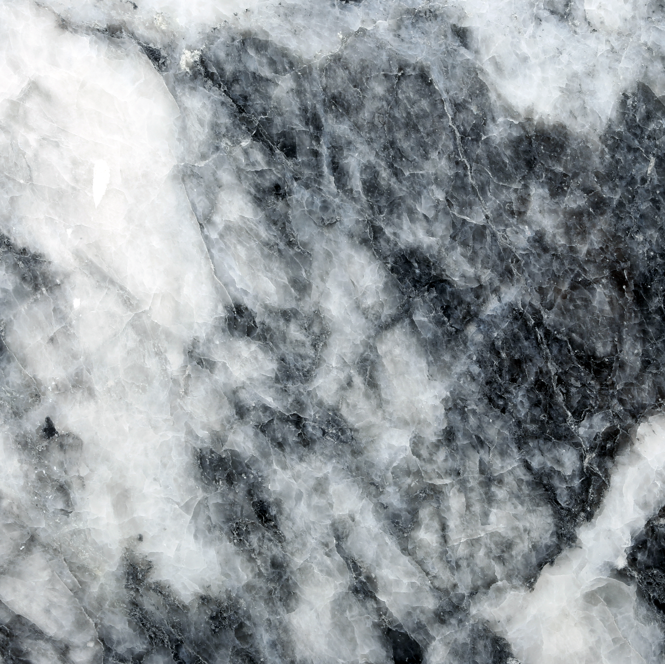 Shadow Gray Edition Classic